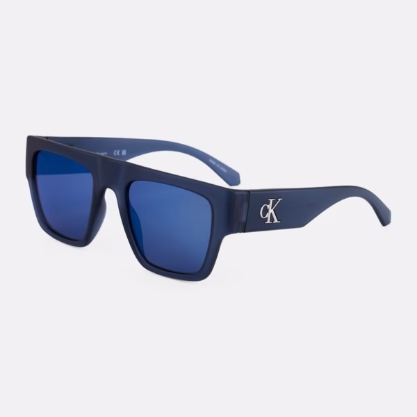 Calvin Klein Browline Unisex Sunglasses