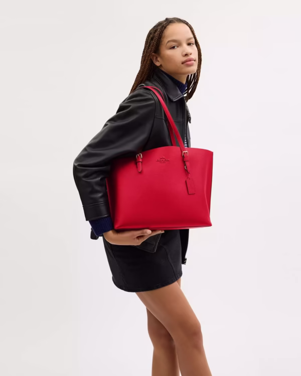 Coach Mollie Tote
