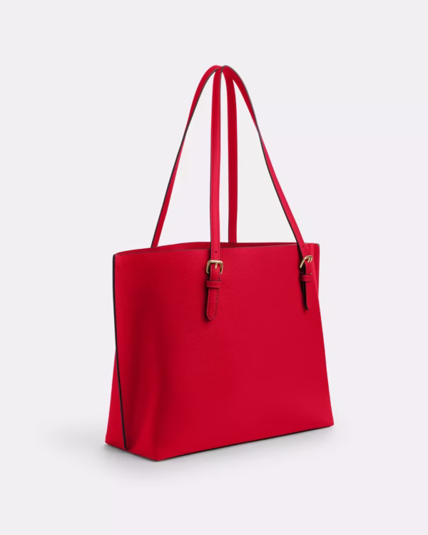 Coach Mollie Tote
