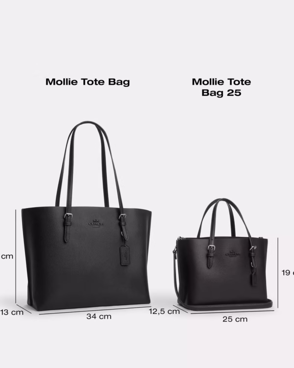 Coach Mollie Tote