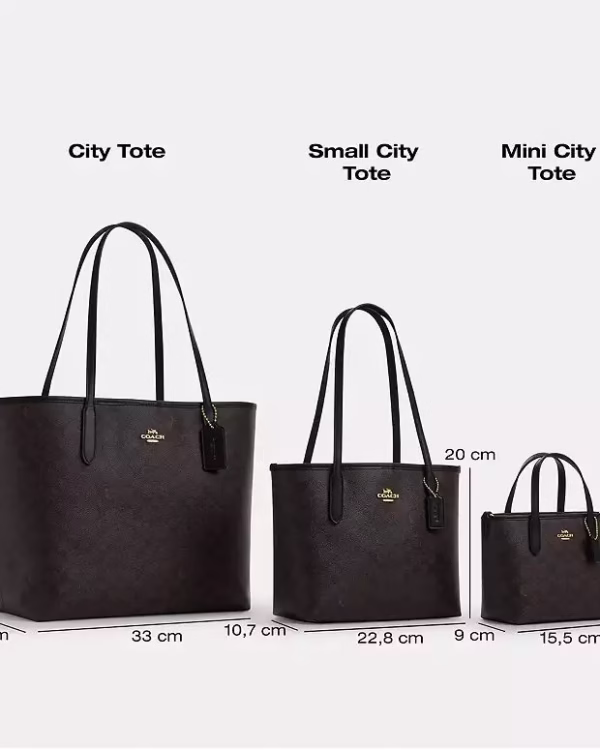 Coach City Tote In Signature Canvas